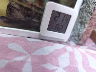 Kit Acuario con Accesorios