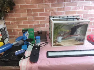 Kit Acuario con Accesorios