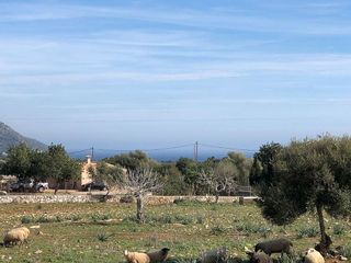 Solar en venta en Son Servera