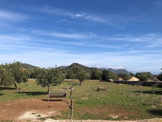 Solar en venta en Son Servera