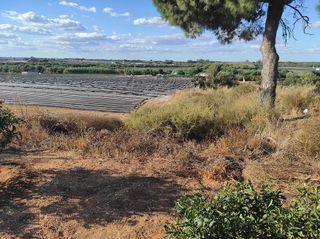 Terreno en venta en Lepe ciudad en Lepe