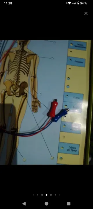 Juego Lectron Conoce tu Cuerpo