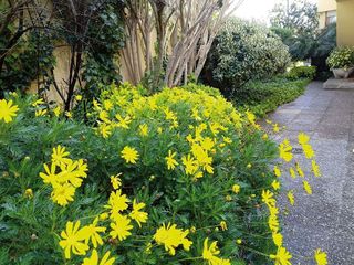 Chalet en venta en Sant Ramon en Cerdanyola del Vallès