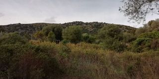 Terreno en venta en Ciutat d'Alcúdia en Alcúdia
