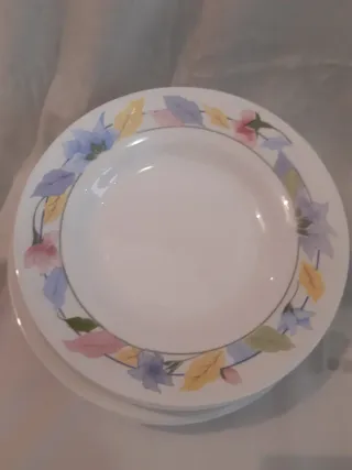 Servizio Piatti Luminarc Floreale