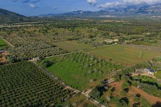 Solar en venta en Zona periurbana en Inca