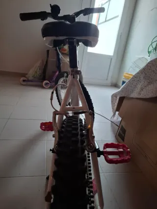 Bicicleta infantil Biocycle