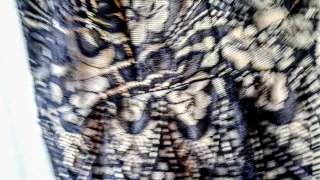 Body encaje floral y geométrico