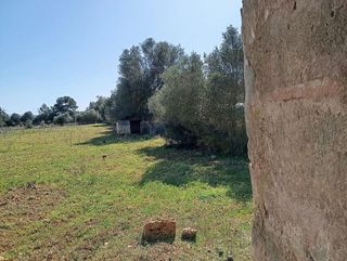 Casa rural en venta en Algaida