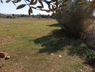 Casa rural en venta en Algaida