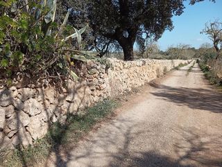 Casa rural en venta en Algaida