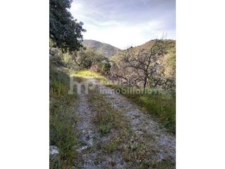 Masía en venta en Zona Hispanidad-Vivar Téllez en Vélez-Málaga