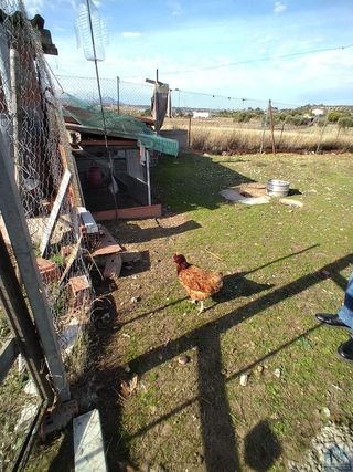 Casa rural en venta en Sur en Mérida