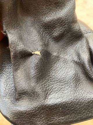 Pomo Palanca Golf GTI