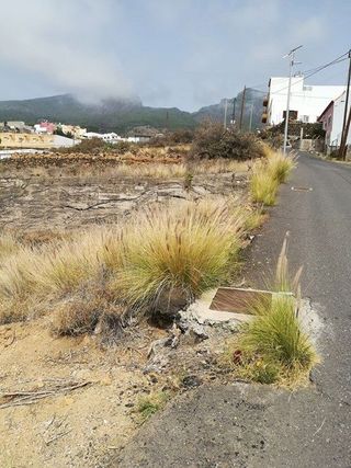 Terreno en venta en Arafo
