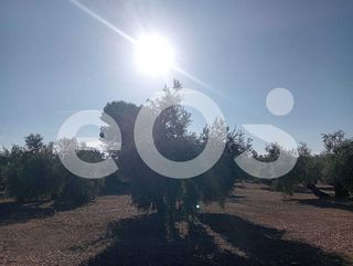 Terreno en venta en Navas de San Juan