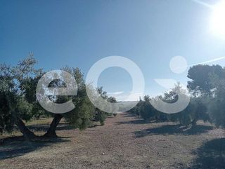 Terreno en venta en Navas de San Juan