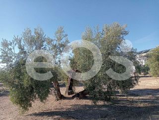 Terreno en venta en Navas de San Juan