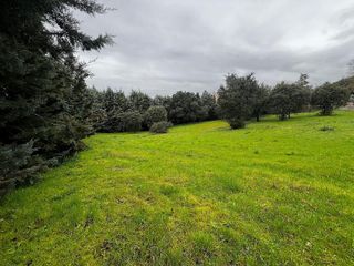 Terreno en venta en Sevilla la Nueva