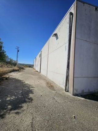 Terreno en venta en Cabra