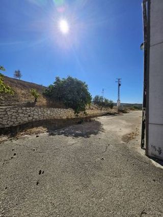 Terreno en venta en Cabra