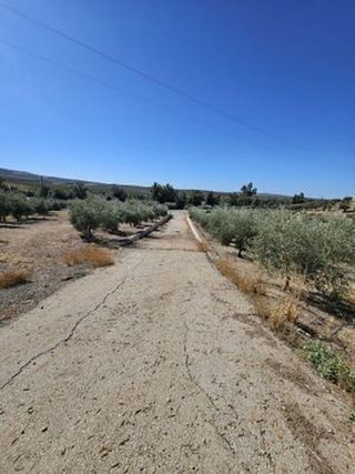 Terreno en venta en Cabra