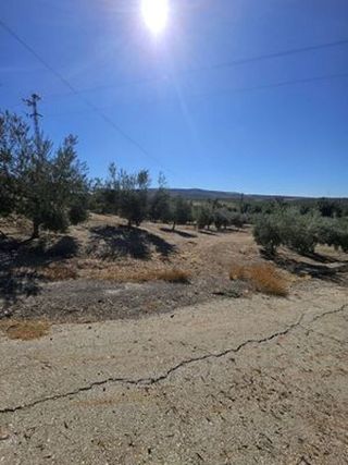 Terreno en venta en Cabra