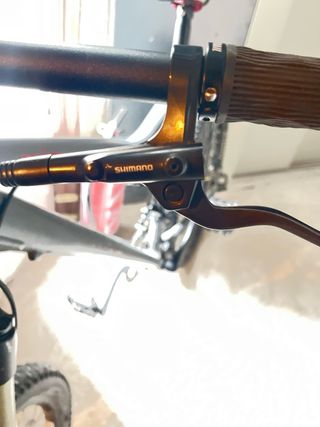 Gary Fisher Stunt Jumper MTB Gris