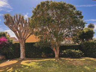 Chalet en venta en San Cristóbal de La Laguna - La Vega - San Lázaro en San Cristóbal de La Laguna