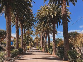 Chalet en venta en San Cristóbal de La Laguna - La Vega - San Lázaro en San Cristóbal de La Laguna