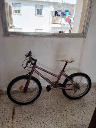 Bicicleta Manhattan Morada