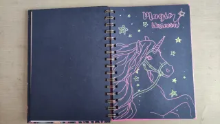 Libro neón top model