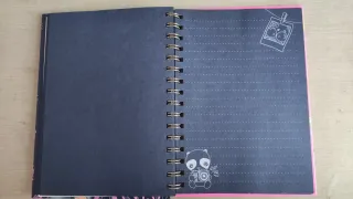 Libro neón top model