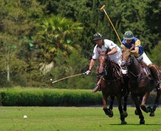 Solar en venta en Sotogrande Alto en San Roque