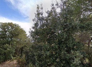 Terreno en venta en Matadepera