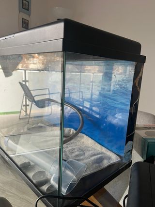 Acuario/pecera 60L con accesorios