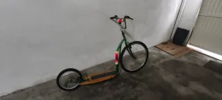 Patín de montaña verde