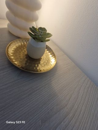 Planta de decoración pequeña