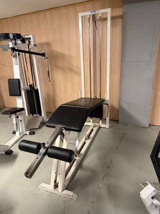 Máquinas Gimnasio enLLEIDA 12 maquinas+ mancuernas