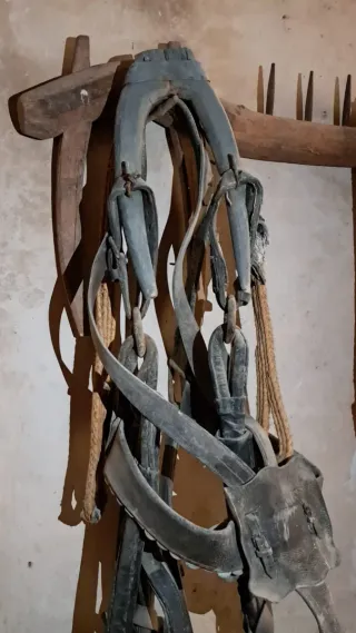 Arreo completo para mula