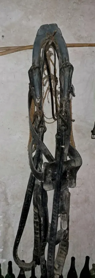 Arreo completo para mula