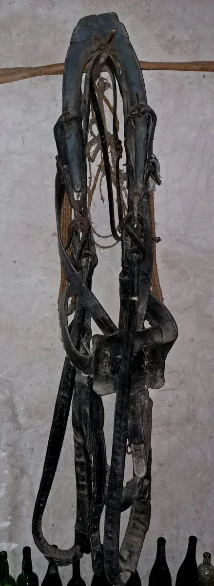 Arreos antiguos para mula