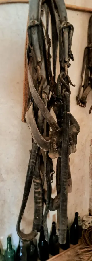 Arreos antiguos para mula