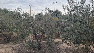 Chalet en venta en Peña de las Águilas en Elche