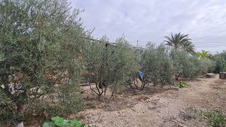 Chalet en venta en Peña de las Águilas en Elche