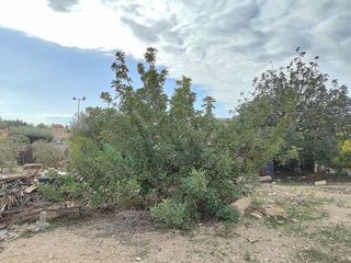 Chalet en venta en Peña de las Águilas en Elche