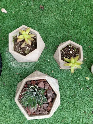 Mini vasi di cemento