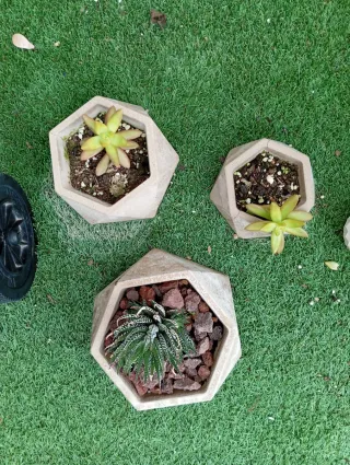 Mini vasi di cemento