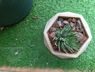 Mini vasi di cemento