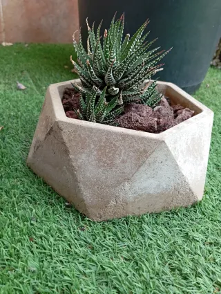 Mini vasi di cemento